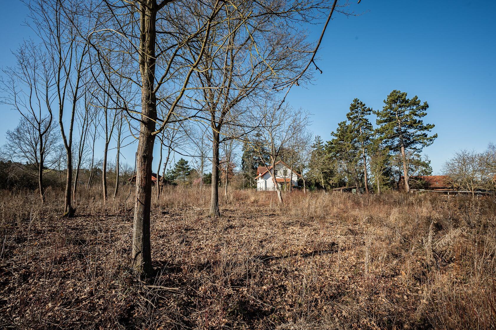 Na Pískách, Černošice - Praha-západ | Sale, Land, 1 104 m²