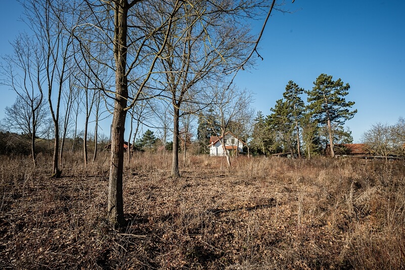 Na Pískách, Černošice - Praha-západ | Sale, Land, 1 104 m²