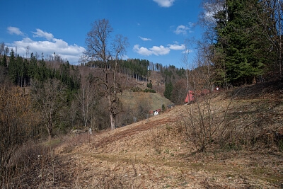 Stromkovice, Jablonec nad Jizerou - Semily | Prodej, Pozemek, 16 360 m²
