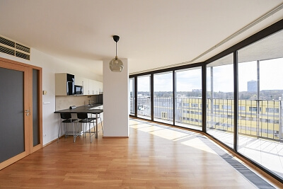 Pitterova, Žižkov - Prague 3 | Sale, Apartment One-bedroom (2+kk), 92 m²