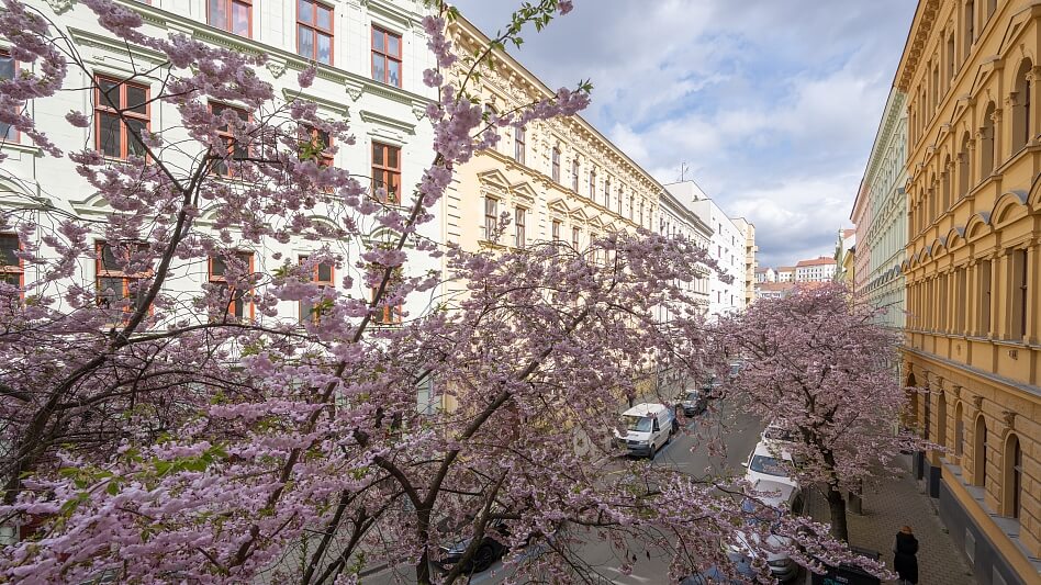 Bezručova, Staré Brno - Brno-město | Sale, Apartment Three-bedroom (4+kk), 119 m²