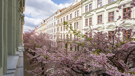 Bezručova, Brno - Brno-město | Sale, Apartment Three-bedroom (4+kk), 119 m²