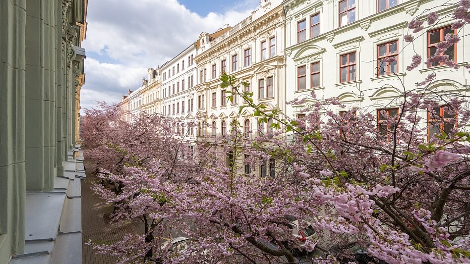 Bezručova, Brno - Brno-město | Sale, Apartment Three-bedroom (4+kk), 119 m²