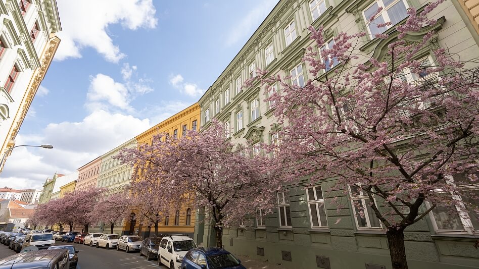Bezručova, Staré Brno - Brno-město | Sale, Apartment Three-bedroom (4+kk), 119 m²