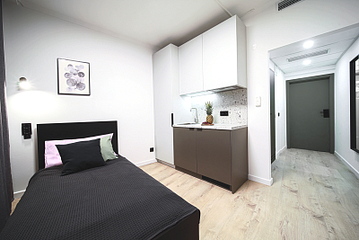 Hartigova, Žižkov - Praha 3 | Prodej, Byt 1+kk, 28 m²