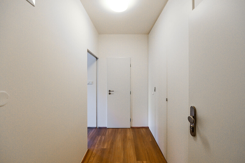 Lucemburská, Vinohrady - Praha 3 | Pronájem, Byt 1+kk, 30 m²