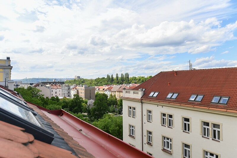 Žerotínova, Žižkov - Prague 3 | Sale, Apartment Three-bedroom (4+kk), 140 m²