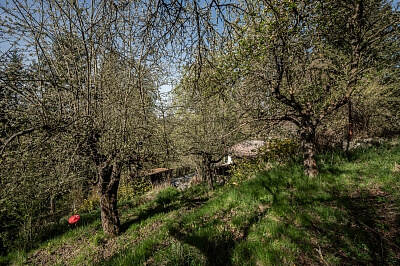 Stříbrná Skalice - Praha-východ | Sale, House One-bedroom (2+1), 50 m²