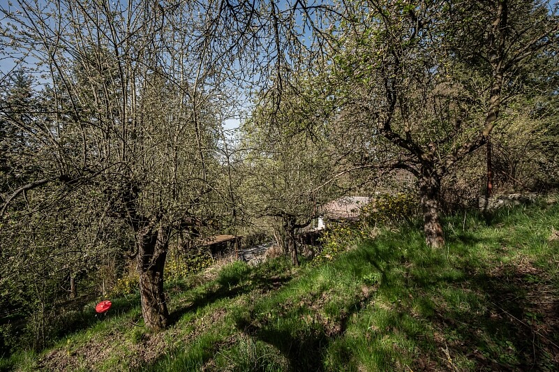 Stříbrná Skalice - Praha-východ | Prodej, Rodinný dům 2+1, 50 m²