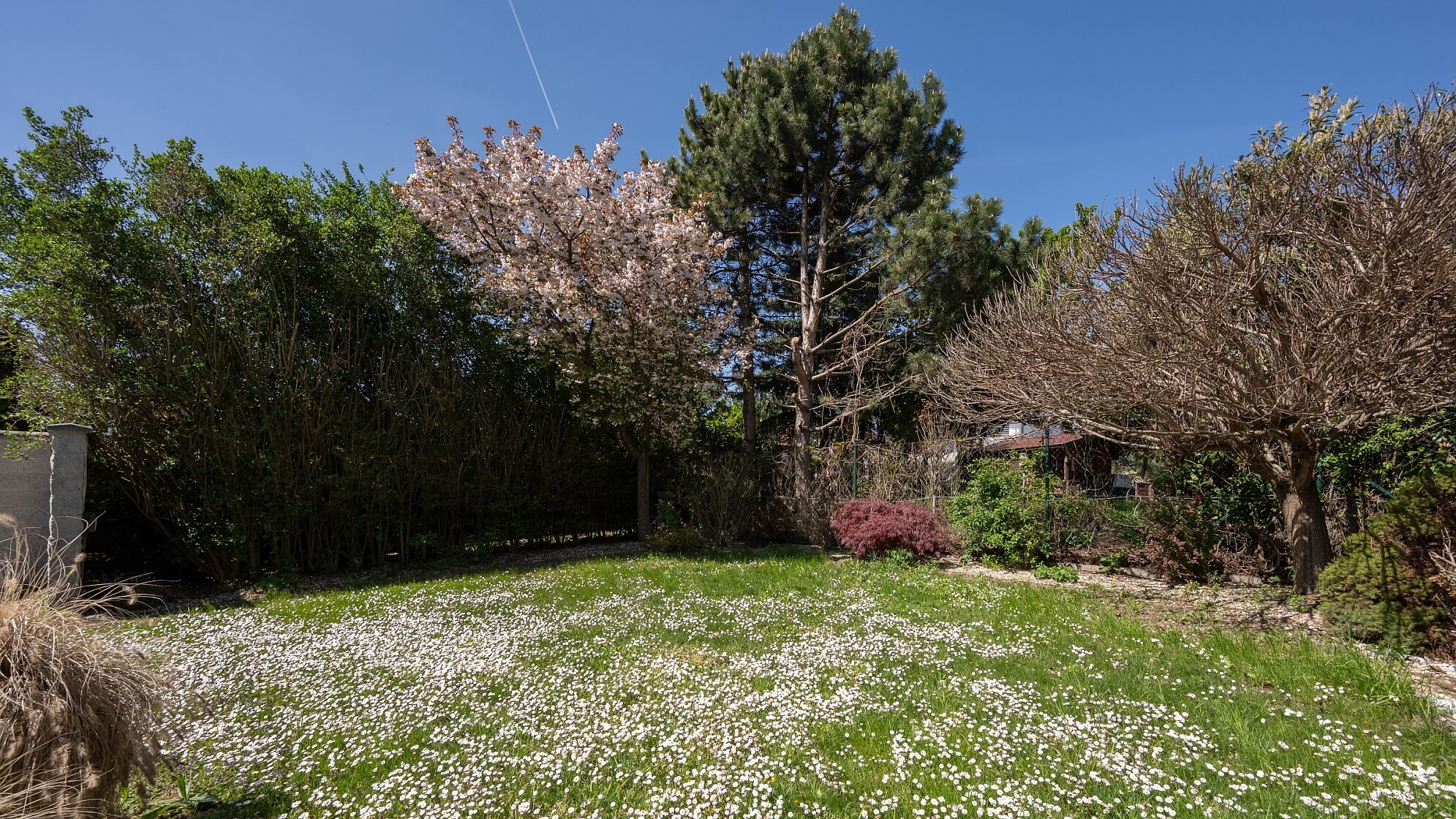 Sádky, Želešice - Brno-venkov | Prodej, Rodinný dům 5+kk, 212 m²