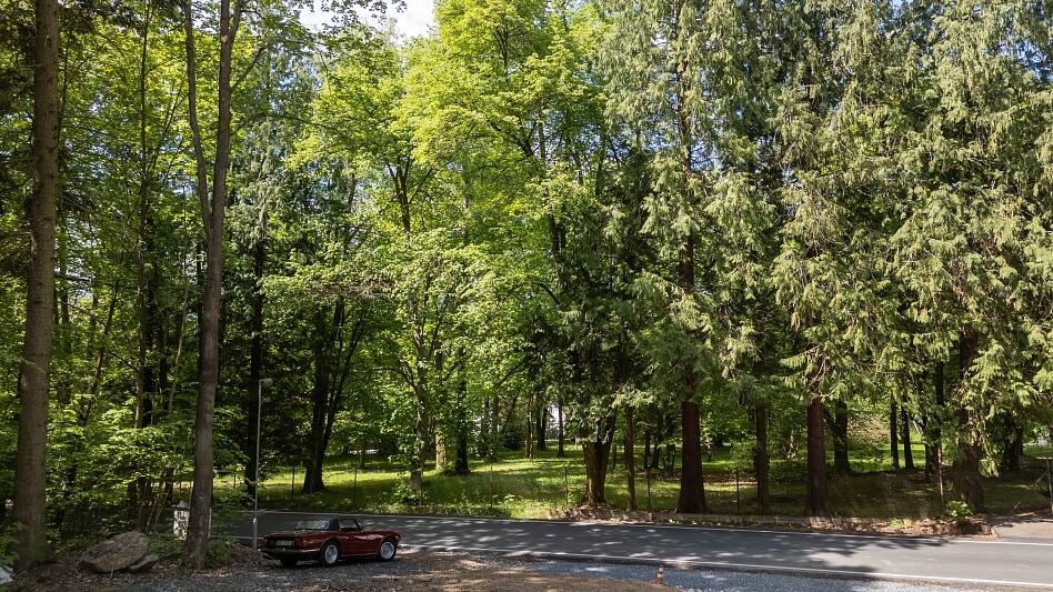 Sázavská, Jevany - Praha-východ | Sale, Land, 2 611 m²