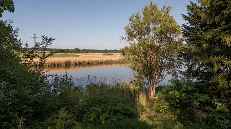 Hostíkovice, Holany - Česká Lípa | Prodej, Pozemek, 1 313 m²