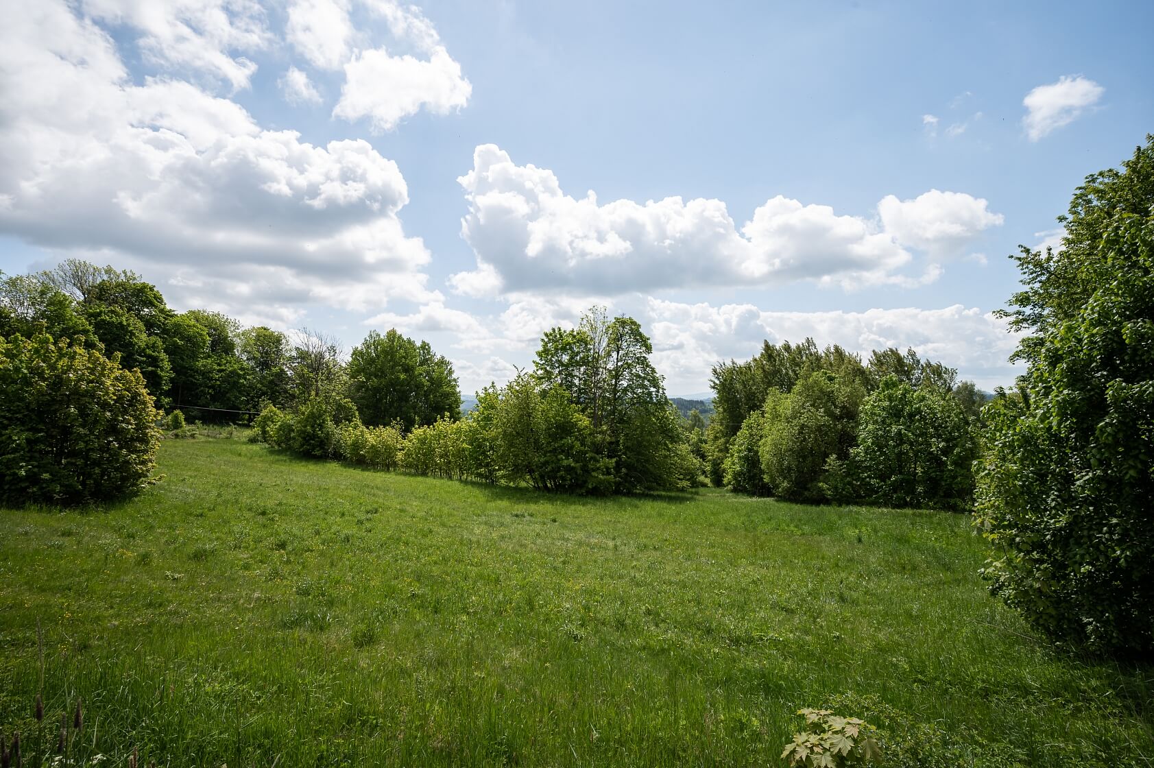 Velké Hamry - Jablonec nad Nisou | Sale, Land, 1 560 m²