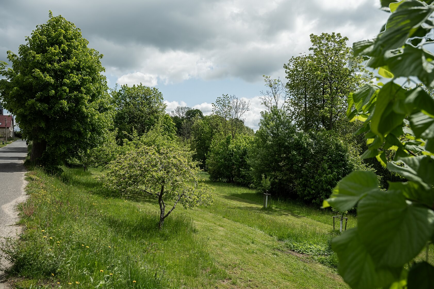 Velké Hamry - Jablonec nad Nisou | Prodej, Pozemek, 1 560 m²