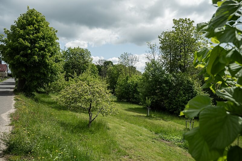 Velké Hamry - Jablonec nad Nisou | Sale, Land, 1 560 m²