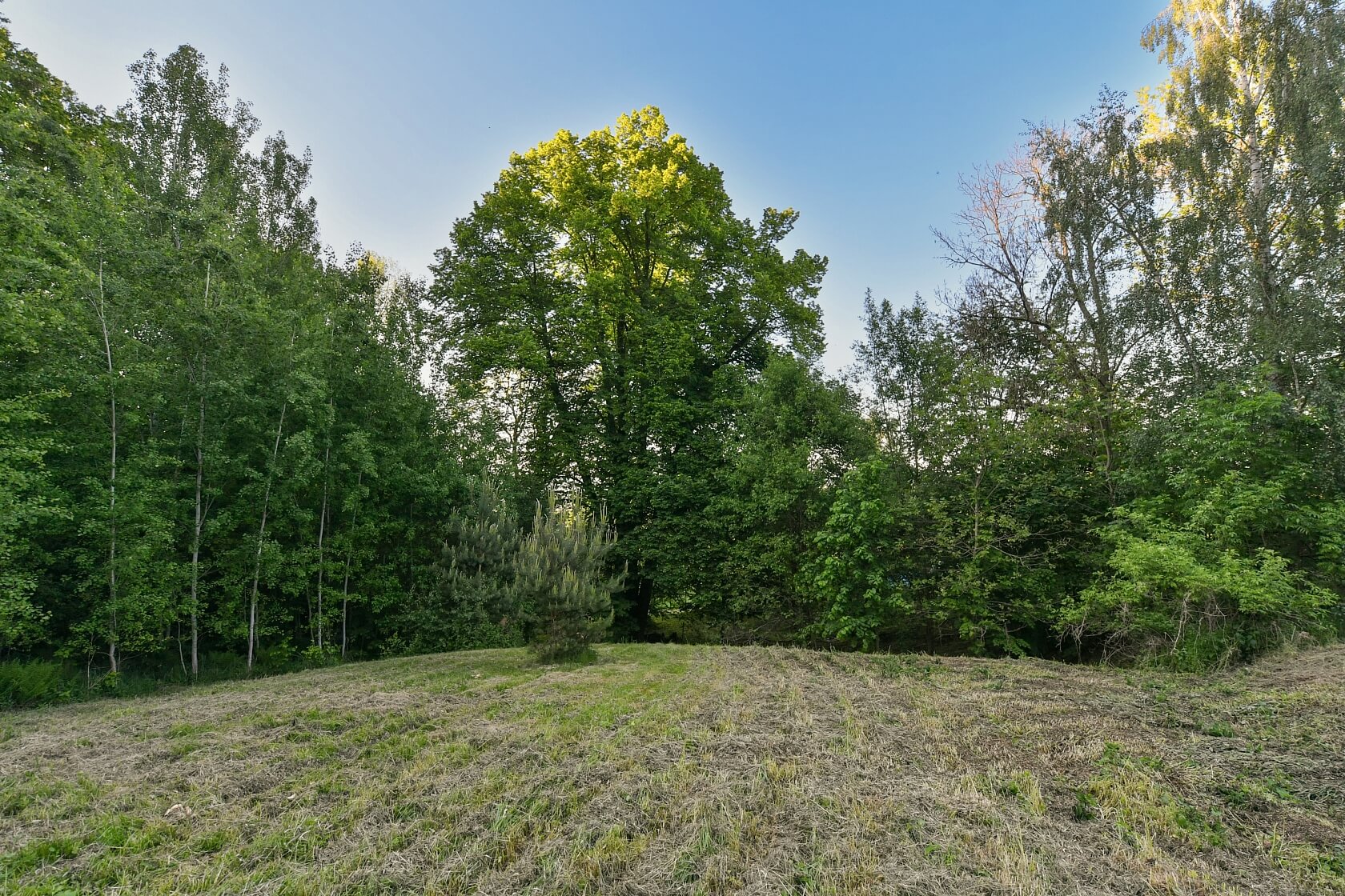 Jablonné v Podještědí - Liberec | Sale, Land, 4 115 m²