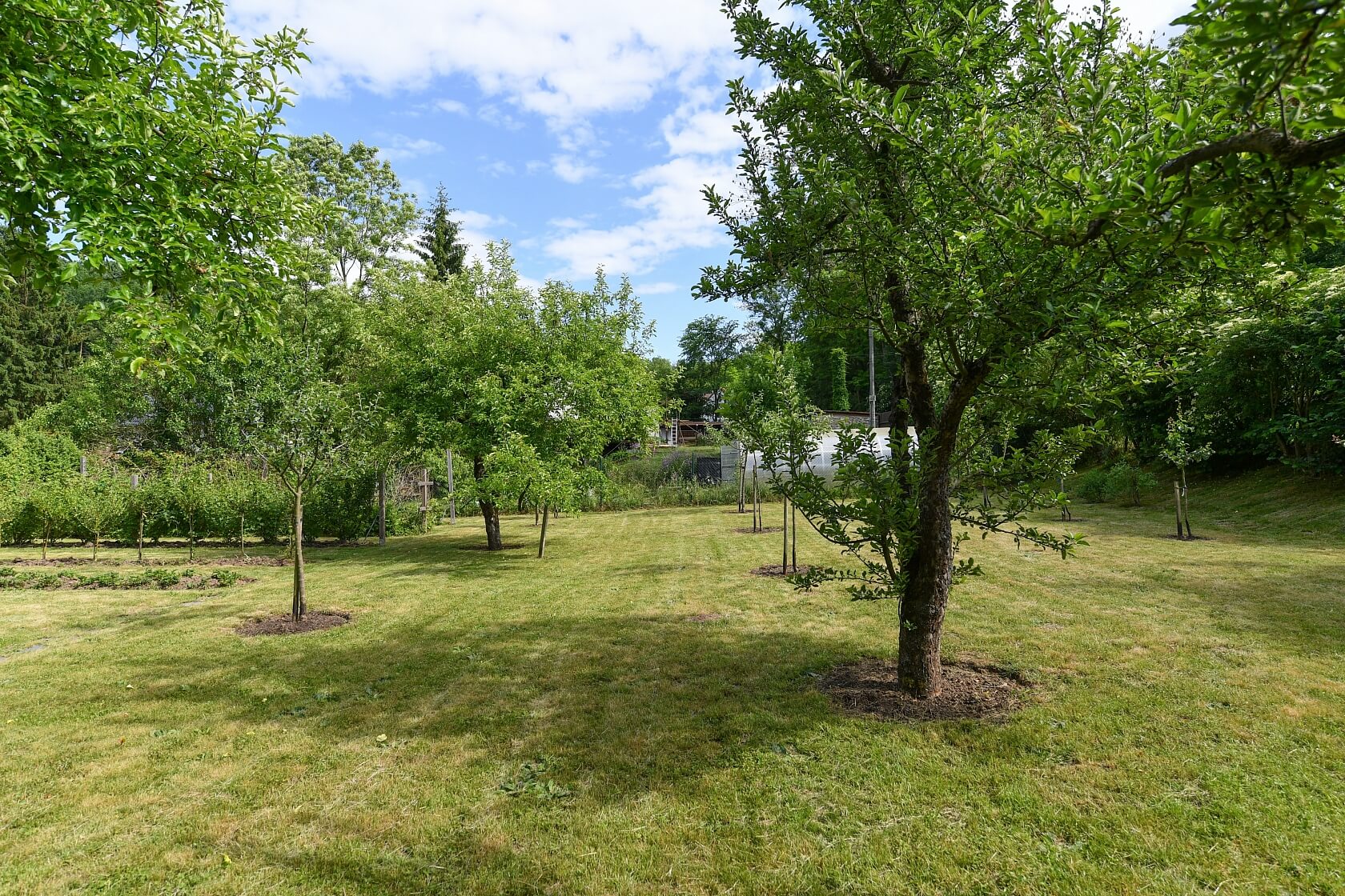 Hoštka - Litoměřice | Prodej, Rodinný dům 2+kk, 87 m²