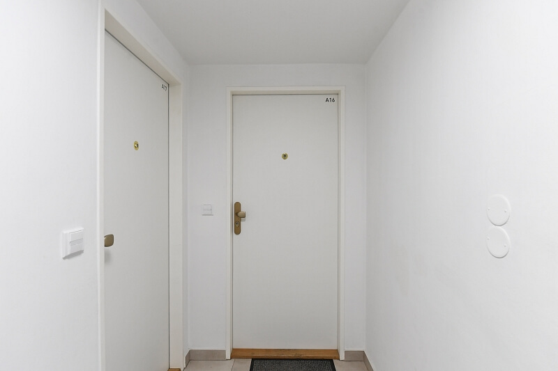 Na Zderaze, Nové Město - Prague 2 | Sale, Apartment Studio (1+kk), 60 m²