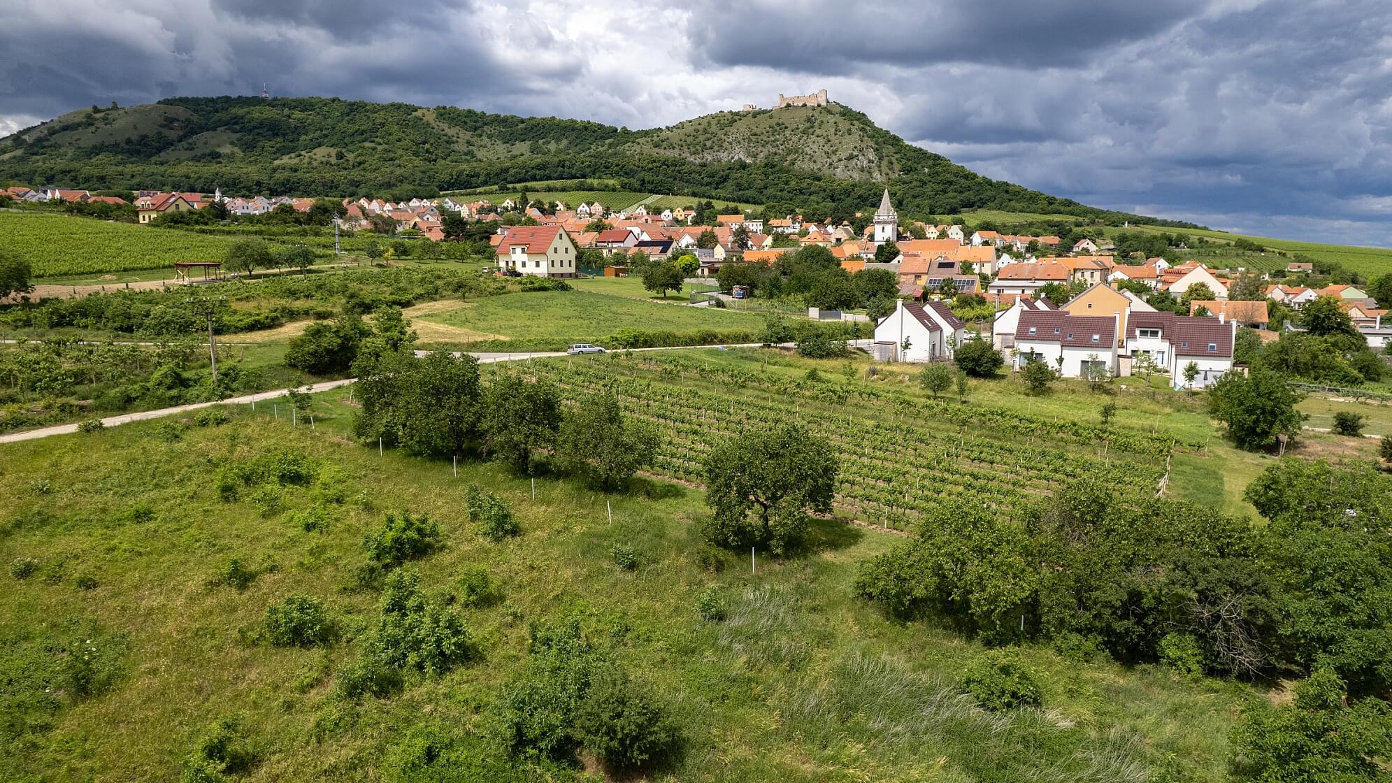 Klentnická, Pavlov - Břeclav | Prodej, Pozemek, 2 768 m²