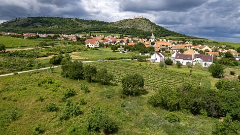 Klentnická, Pavlov - Břeclav | Sale, Land, 2 768 m²
