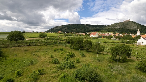 Klentnická, Pavlov - Břeclav | Prodej, Pozemek, 2 768 m²