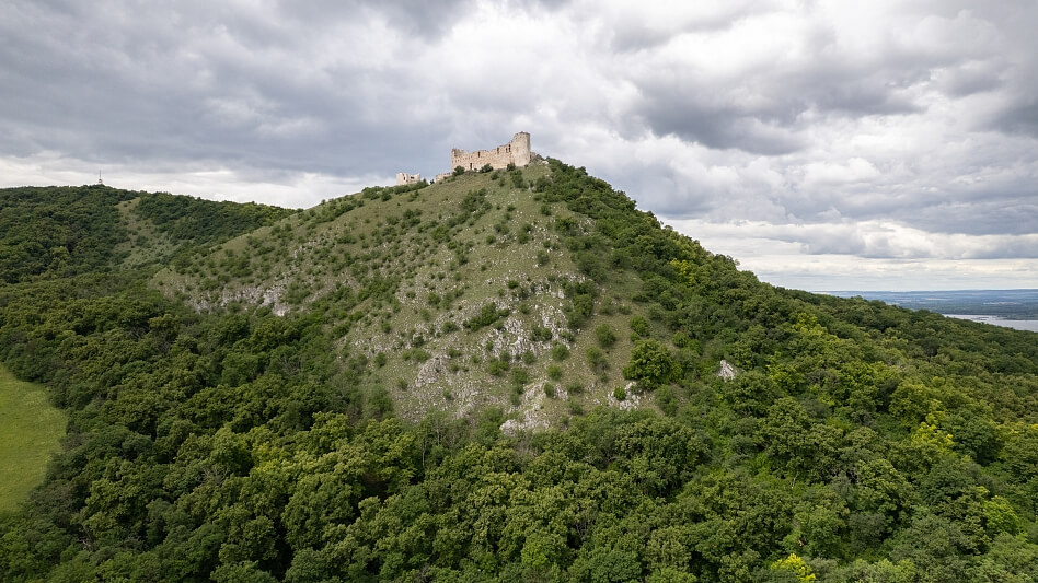 Klentnická, Pavlov - Břeclav | Prodej, Pozemek, 2 768 m²