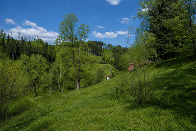 Stromkovice, Jablonec nad Jizerou - Semily | Sale, Land, 16 360 m²