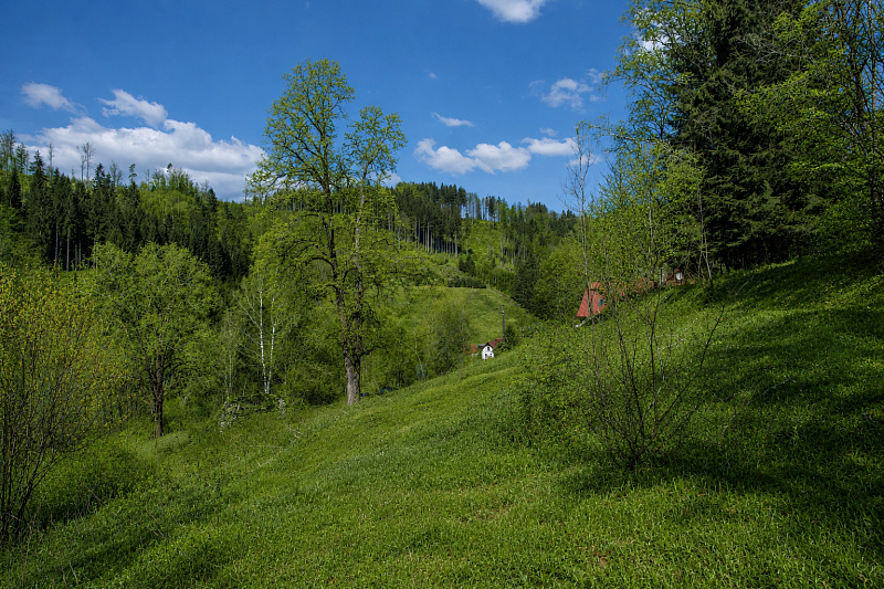 Stromkovice, Jablonec nad Jizerou - Semily | Sale, Land, 16 360 m²