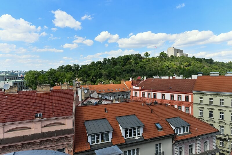 Řehořova, Žižkov - Praha 3 | Prodej, Byt 3+kk, 123 m²