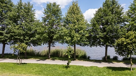 Chlum u Třeboně - Jindřichův Hradec | Sale, House Three-bedroom (4+kk), 137 m²