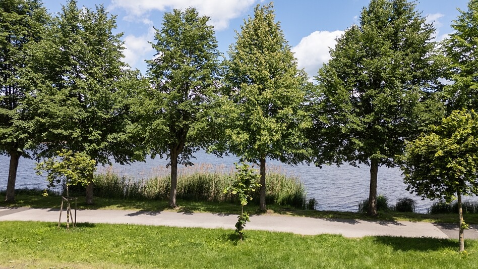 Chlum u Třeboně - Jindřichův Hradec | Sale, House Three-bedroom (4+kk), 137 m²
