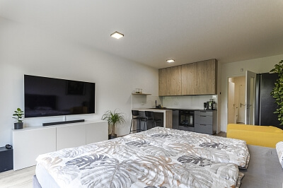 Měchnovská, Chodov - Praha 4 | Prodej, Byt 1+kk, 40 m²