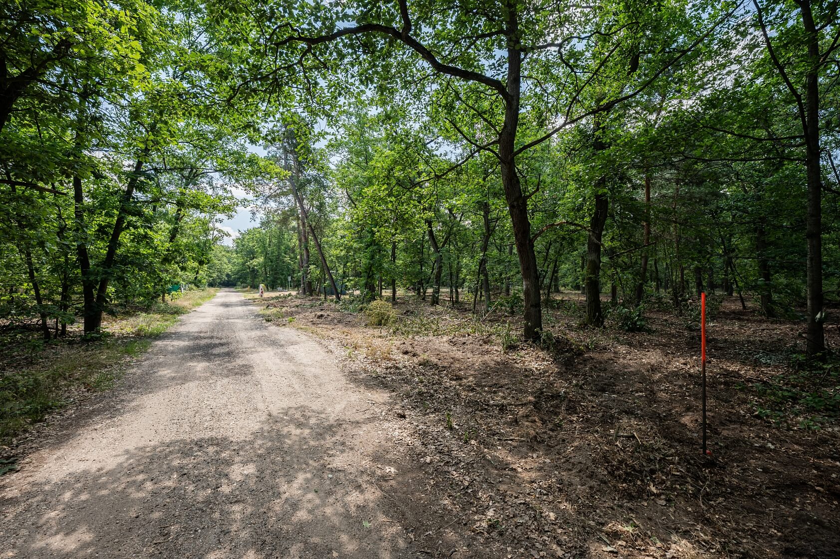 Tyršova, Nymburk - Nymburk | Sale, Land, 2 829 m²