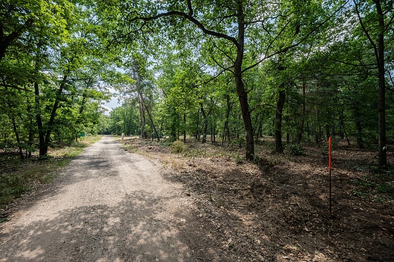 Alej č. 1, Nymburk - Nymburk | Prodej, Pozemek, 2 829 m²