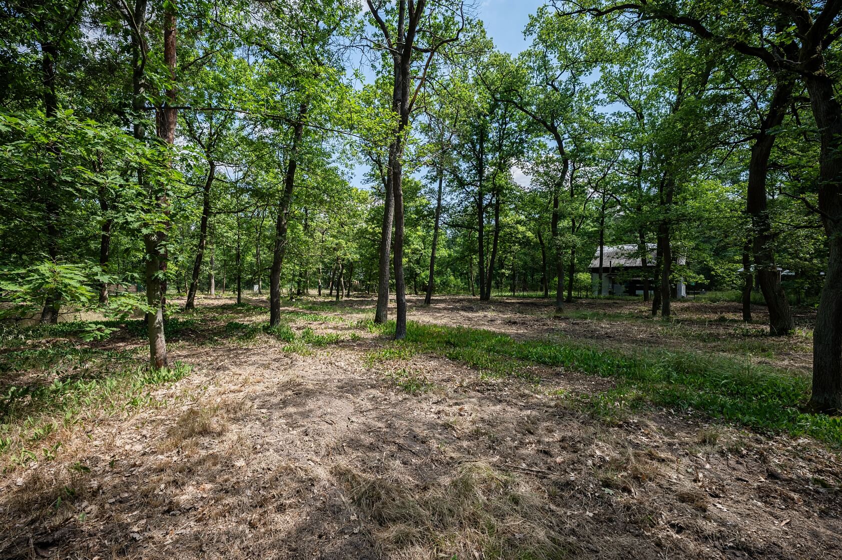 Tyršova, Nymburk - Nymburk | Sale, Land, 2 829 m²