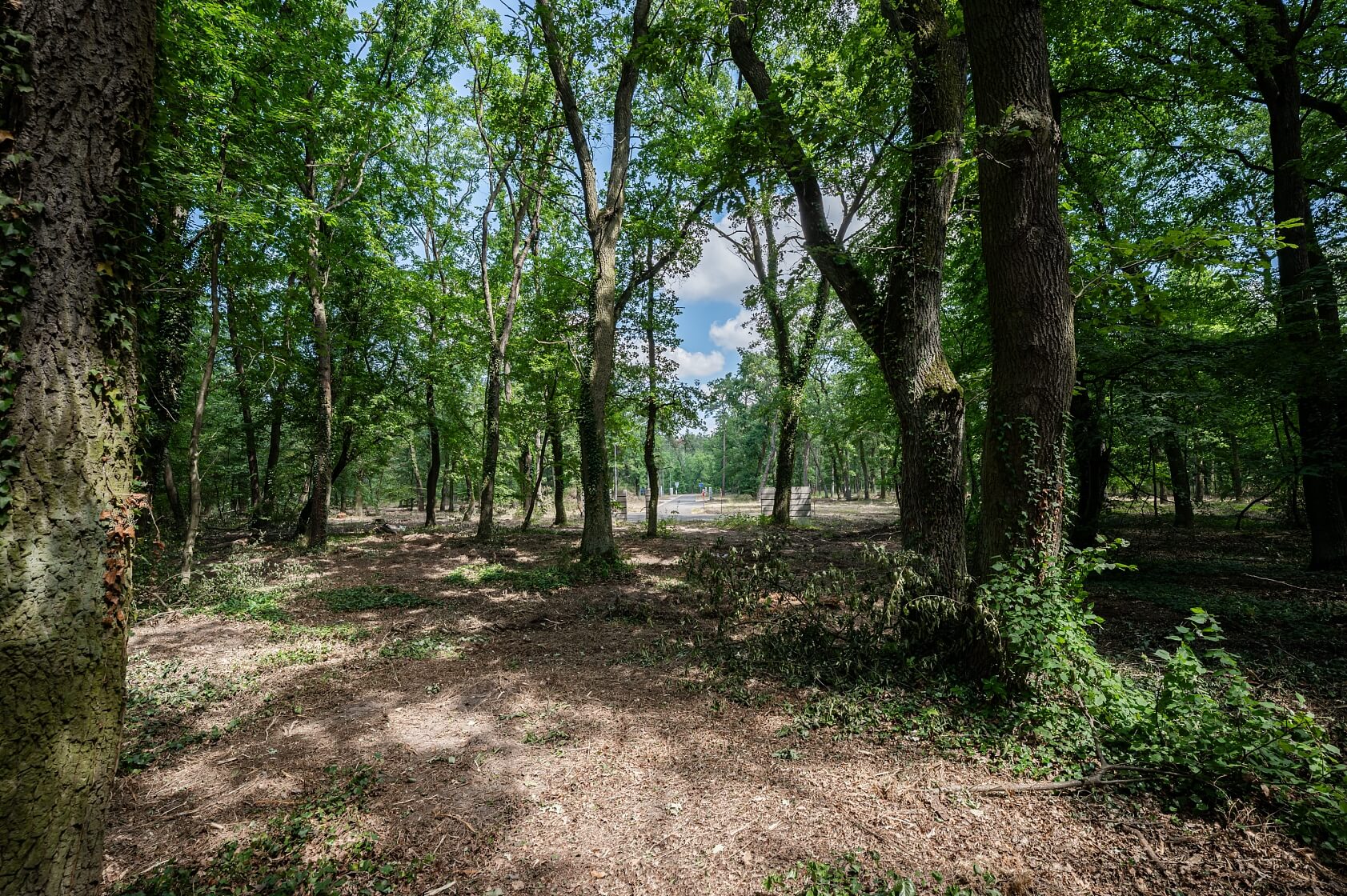 Alej č. 1, Nymburk - Nymburk | Sale, Land, 2 806 m²