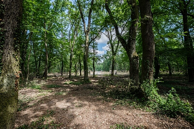 Alej č. 1, Nymburk - Nymburk | Sale, Land, 2 806 m²
