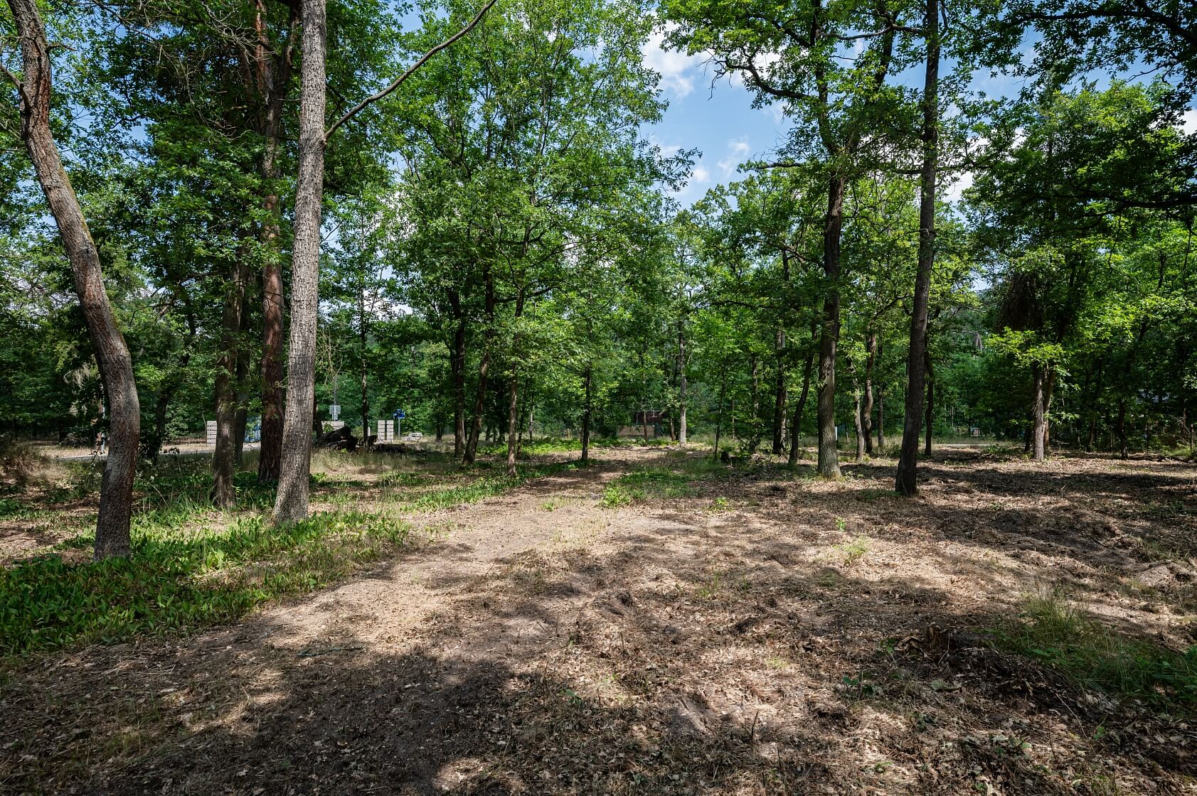 Alej č. 1, Nymburk - Nymburk | Prodej, Pozemek, 2 815 m²