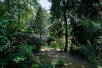 K Dubu, Kamenice - Praha-východ | Prodej, Pozemek, 1 203 m²