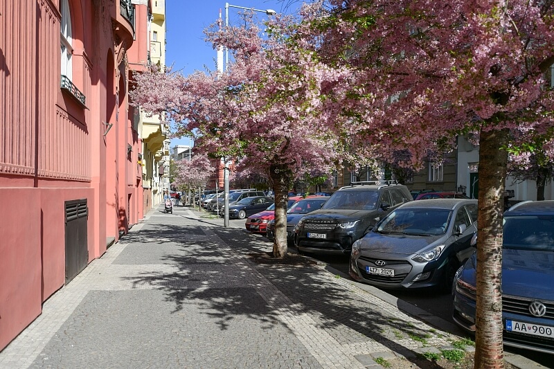 Na Švihance, Vinohrady - Praha 2 | Pronájem, Byt 3+1, 133 m²