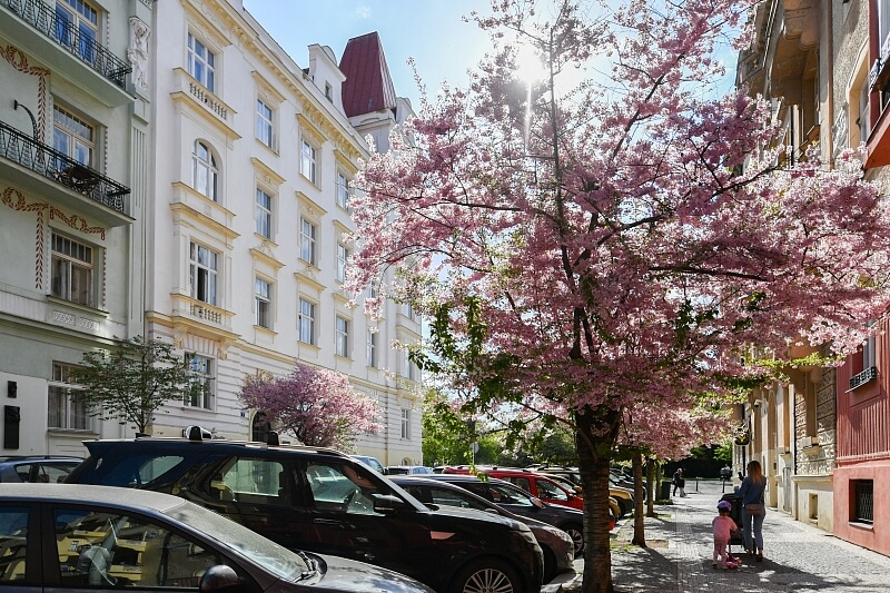 Na Švihance, Vinohrady - Prague 2 | Rent, Apartment Two-bedroom (3+1), 133 m²
