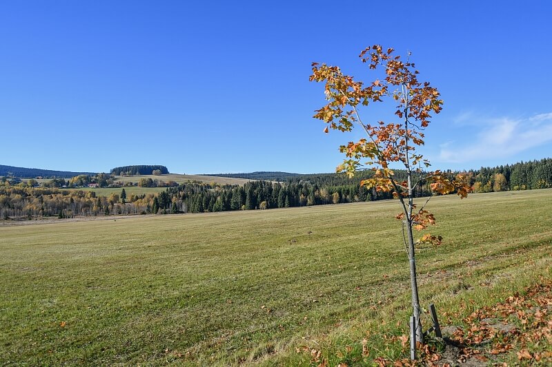 Borová Lada - Prachatice | Sale, House Four-bedroom (5+kk), 119 m²
