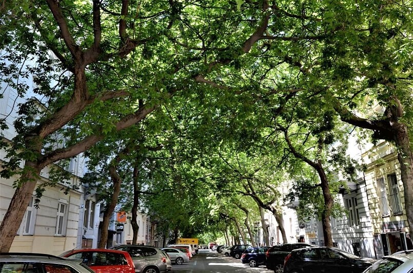 Lužická, Vinohrady - Prague 2 | Rent, Apartment Two-bedroom (3+1), 115 m²