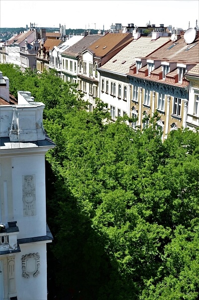 Lužická, Vinohrady - Praha 2 | Pronájem, Byt 3+1, 115 m²