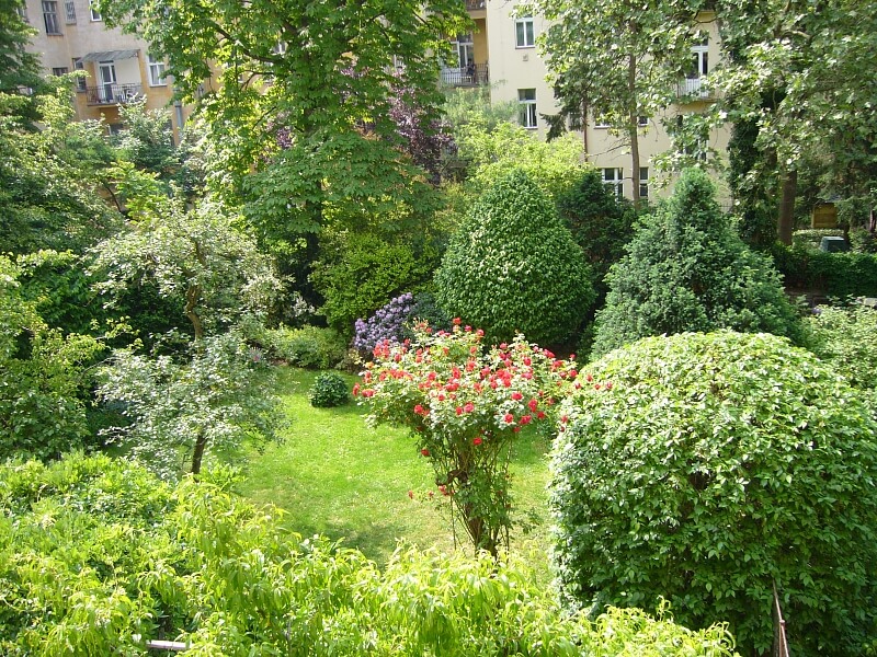 Lužická, Vinohrady - Praha 2 | Pronájem, Byt 3+1, 115 m²