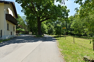 V lučinách, Hodkovičky - Praha 4 | Pronájem, Rodinný dům 5+kk, 180 m²