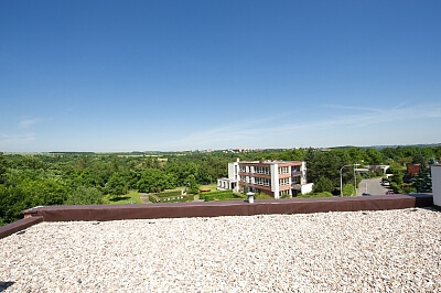 Janákova, Dejvice - Praha 6 | Pronájem, Rodinný dům 5+kk, 240 m²