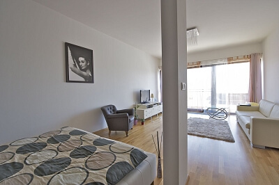Jankovcova, Holešovice - Prague 7 | Rent, Apartment Studio (1+kk), 45 m²