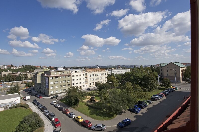 Nad Panenskou, Střešovice - Prague 6 | Rent, Apartment Three-bedroom (4+kk), 150 m²