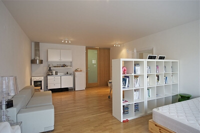 Křižíkova, Karlín - Praha 8 | Pronájem, Byt 1+kk, 52 m²